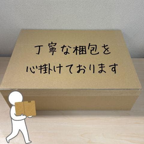 TJMデザイン タジマ(Tajima) LEDヘッドライトE502Dセット Lp