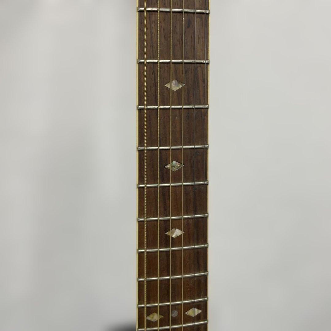 Sepia Crue Custom アコースティックギター