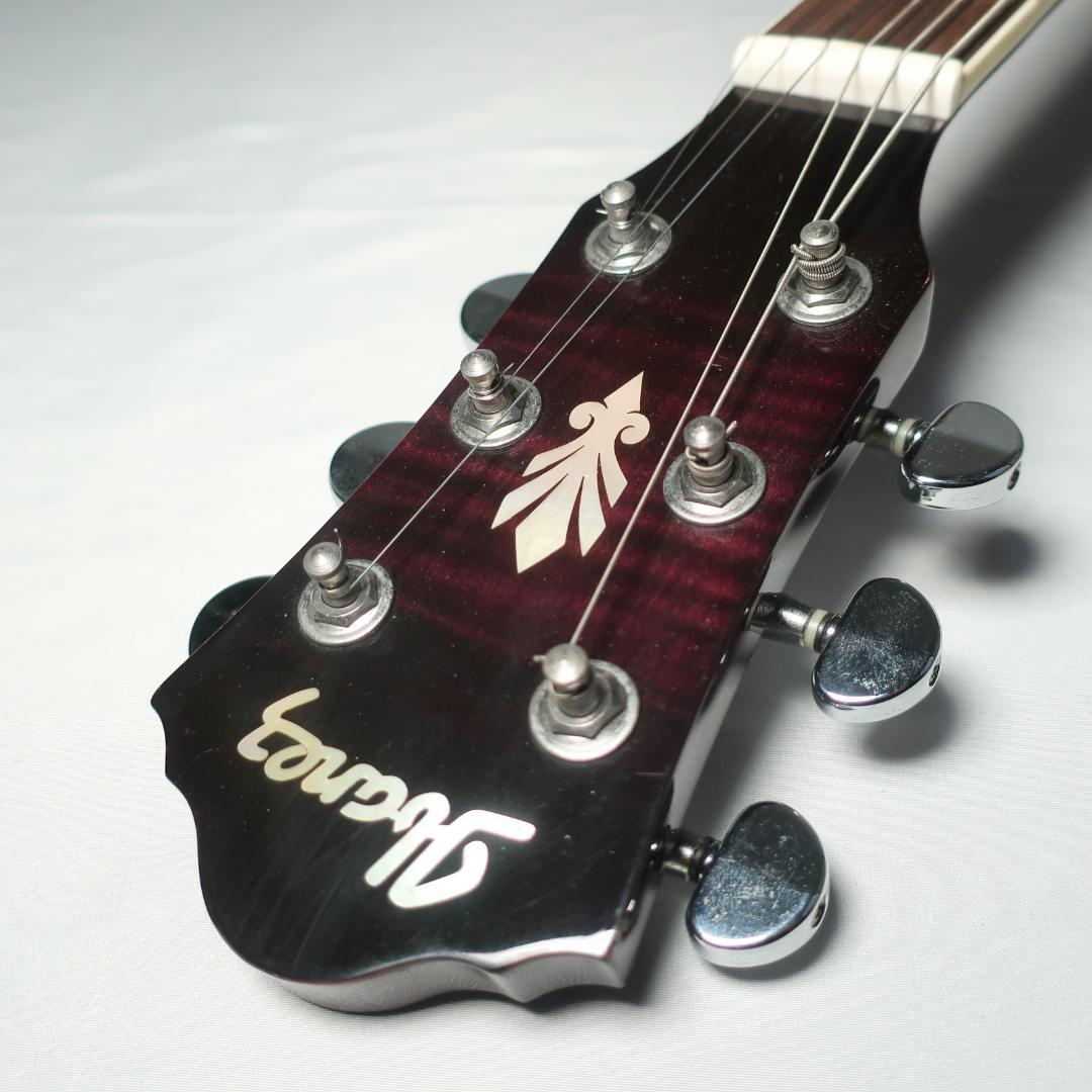 Ibanez AEG450 TP エレアコ ギター ハードケース付 虎杢パープル