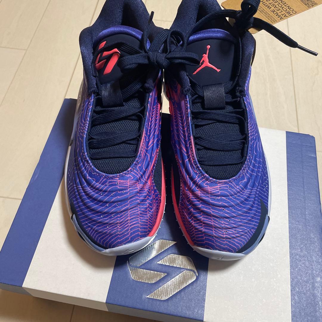 Jordan バスケットボールシューズ 紫/赤
