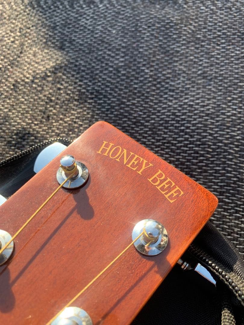 美品ハニービーHONEYBEEアコースティックギターW-15/TS