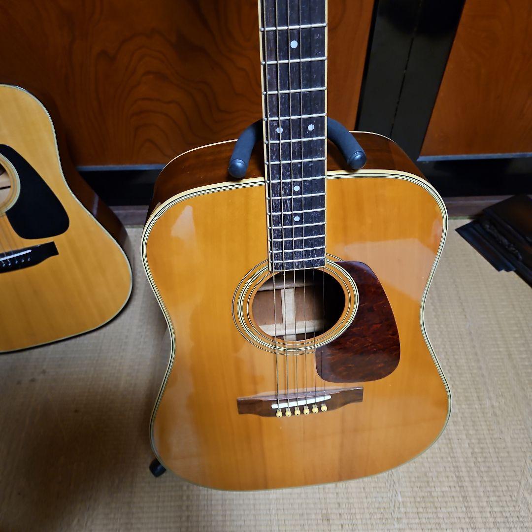 Morris アコースティックギター MD506