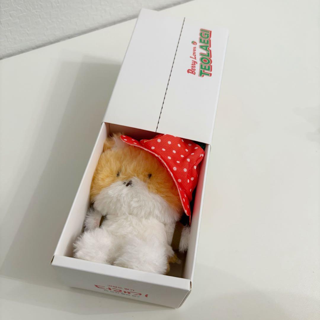 トレギ ベッキョン