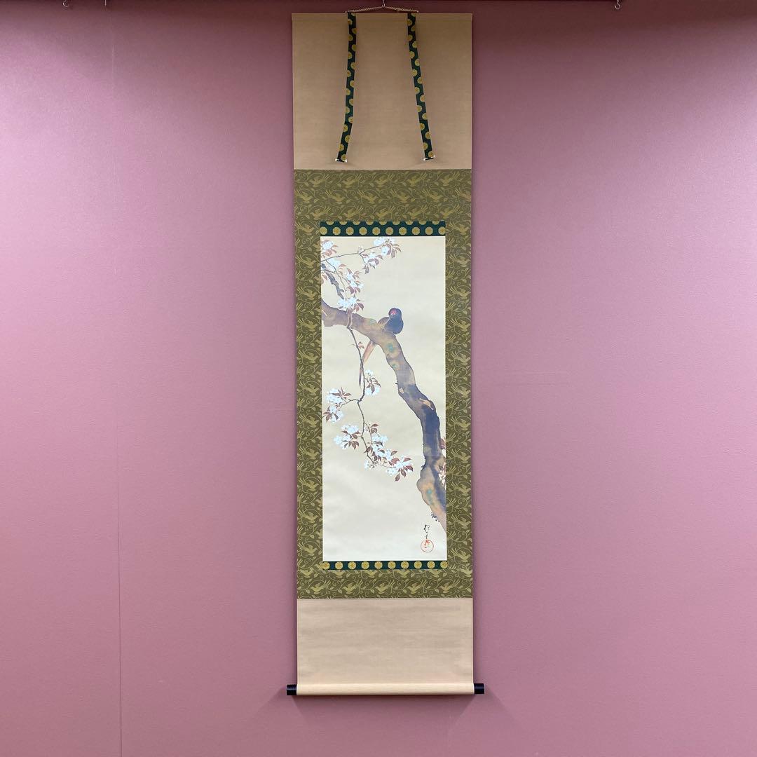 美品 掛け軸 酒井抱一筆 桜花雉子図 花鳥十二カ月 名画 縁起物