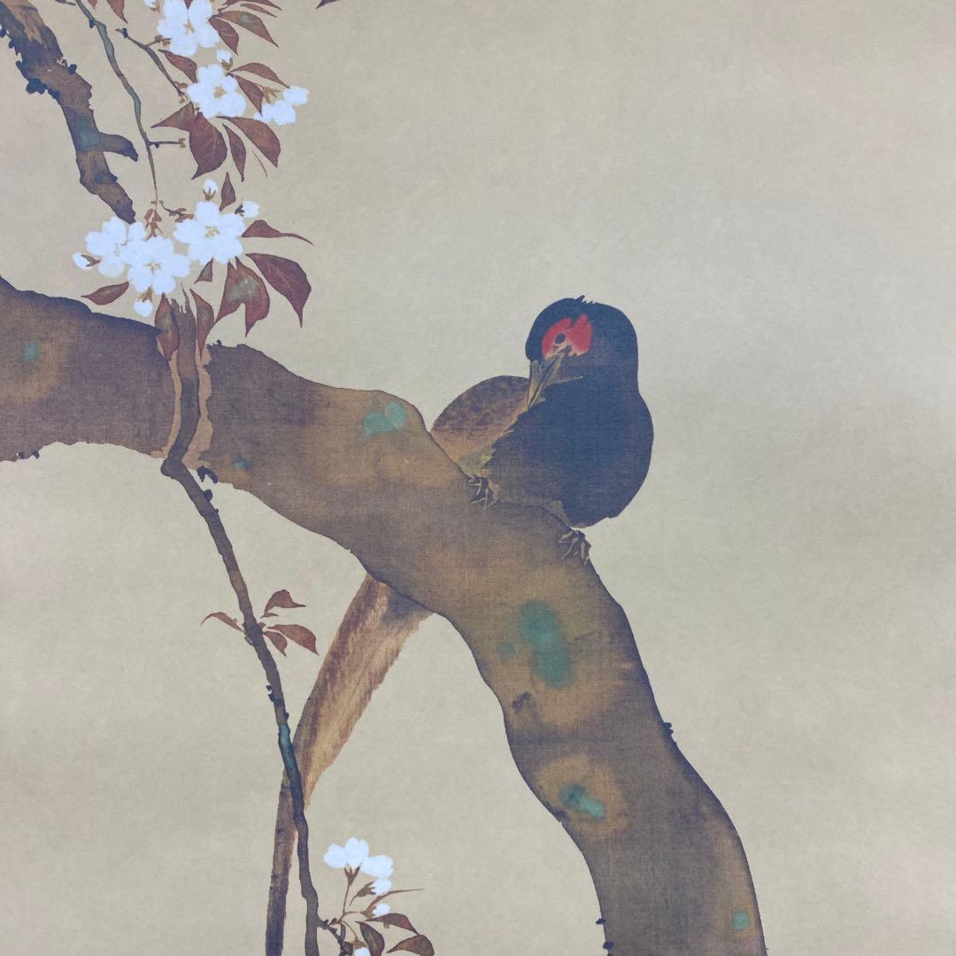 美品 掛け軸 酒井抱一筆 桜花雉子図 花鳥十二カ月 名画 縁起物