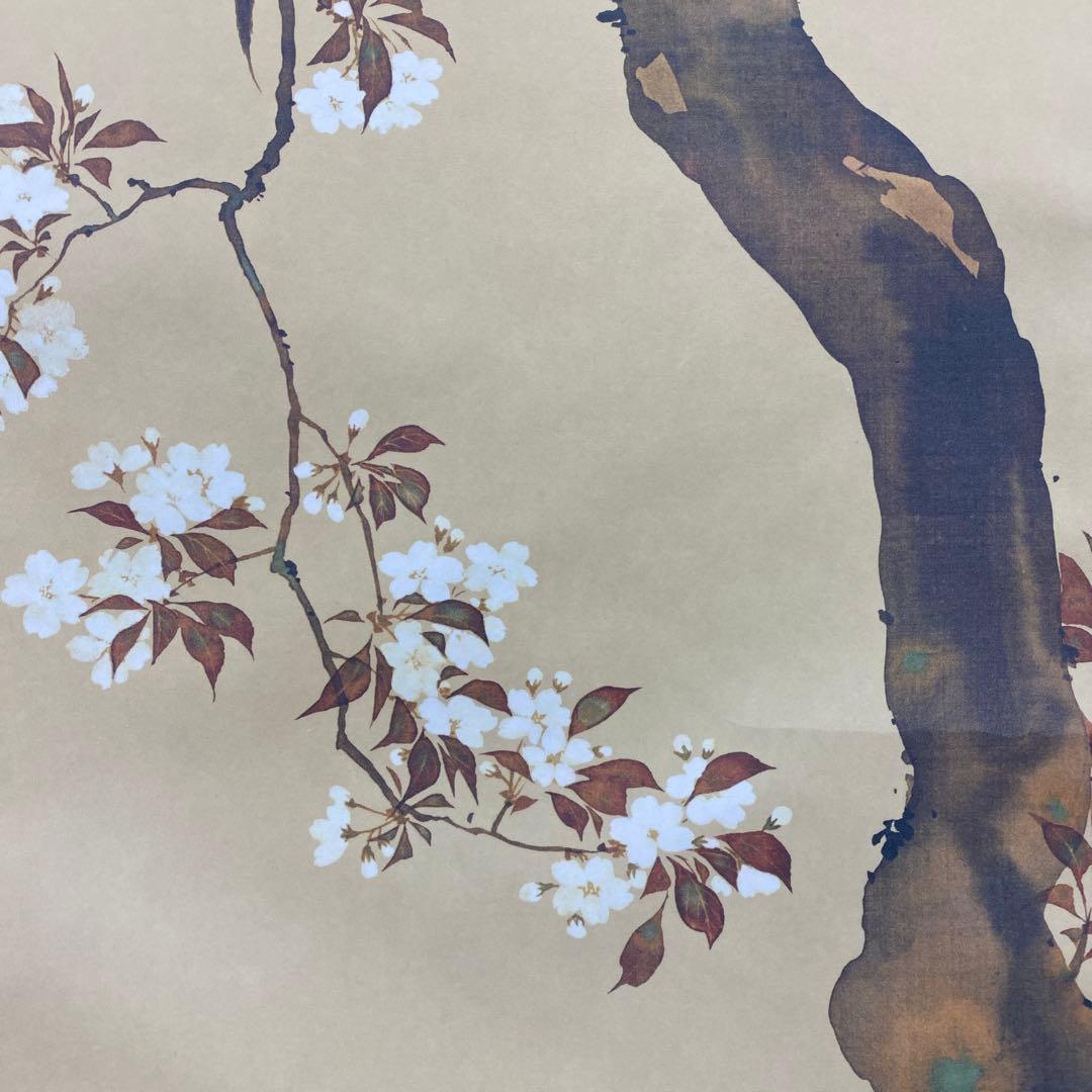 美品 掛け軸 酒井抱一筆 桜花雉子図 花鳥十二カ月 名画 縁起物