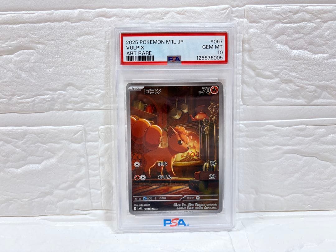 ロコン　AR PSA10
