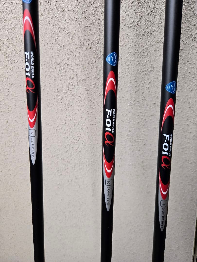 ワールドイーグル　メンズゴルフ10本セット　FLEX-R