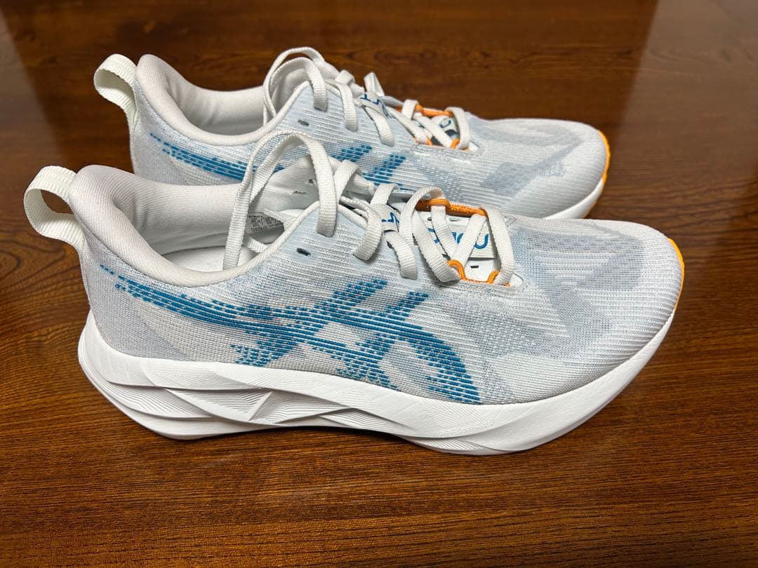 ASICS NOVABLAST アシックス ノヴァブラスト 5 25.0cm