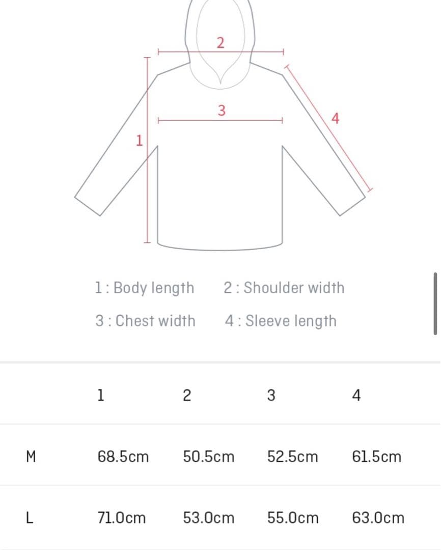 大幅値下げ！TXT HOODIE パーカー クローバー 希少品 Lサイズ