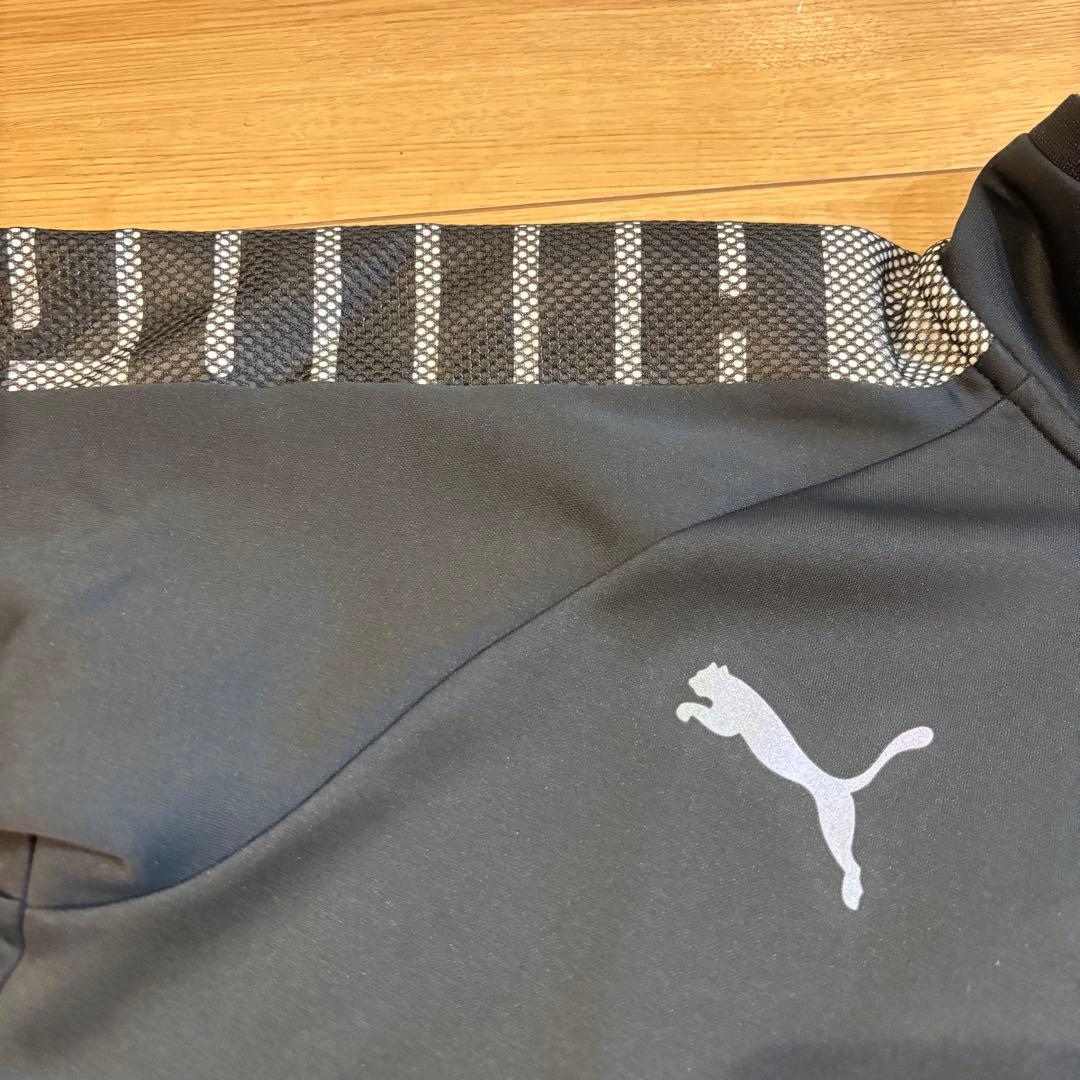 新品　PUMA プーマ　トレーニングウェア　ジャージ上下セット　ゴルフ　Lサイズ