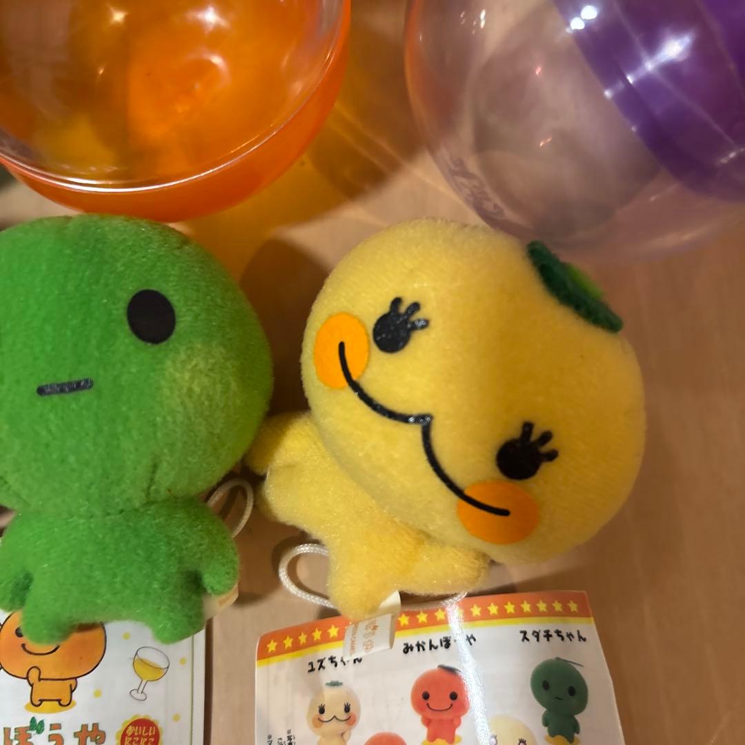 みかんぼうや　当時　ガチャガチャ　 ストラップ　ぬいぐるみマスコット