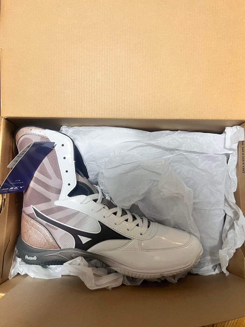 MIZUNOボクシングシューズ WAVE MONSTER
