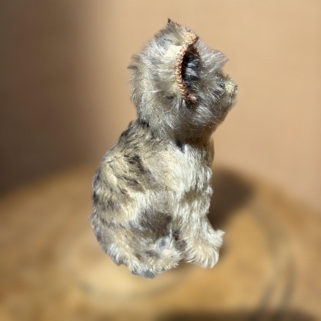 steiff fluffy cat シュタイフ　猫　アンティーク