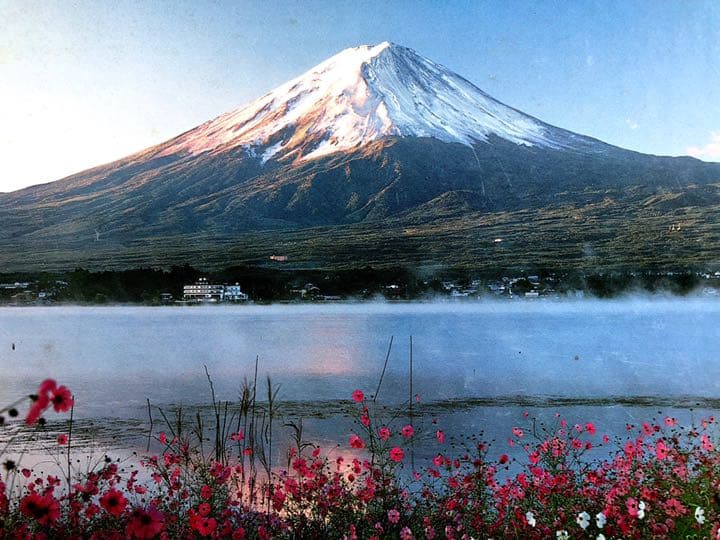 秋桜（コスモス）と富士　山梨　1000片 ジグソーパズル