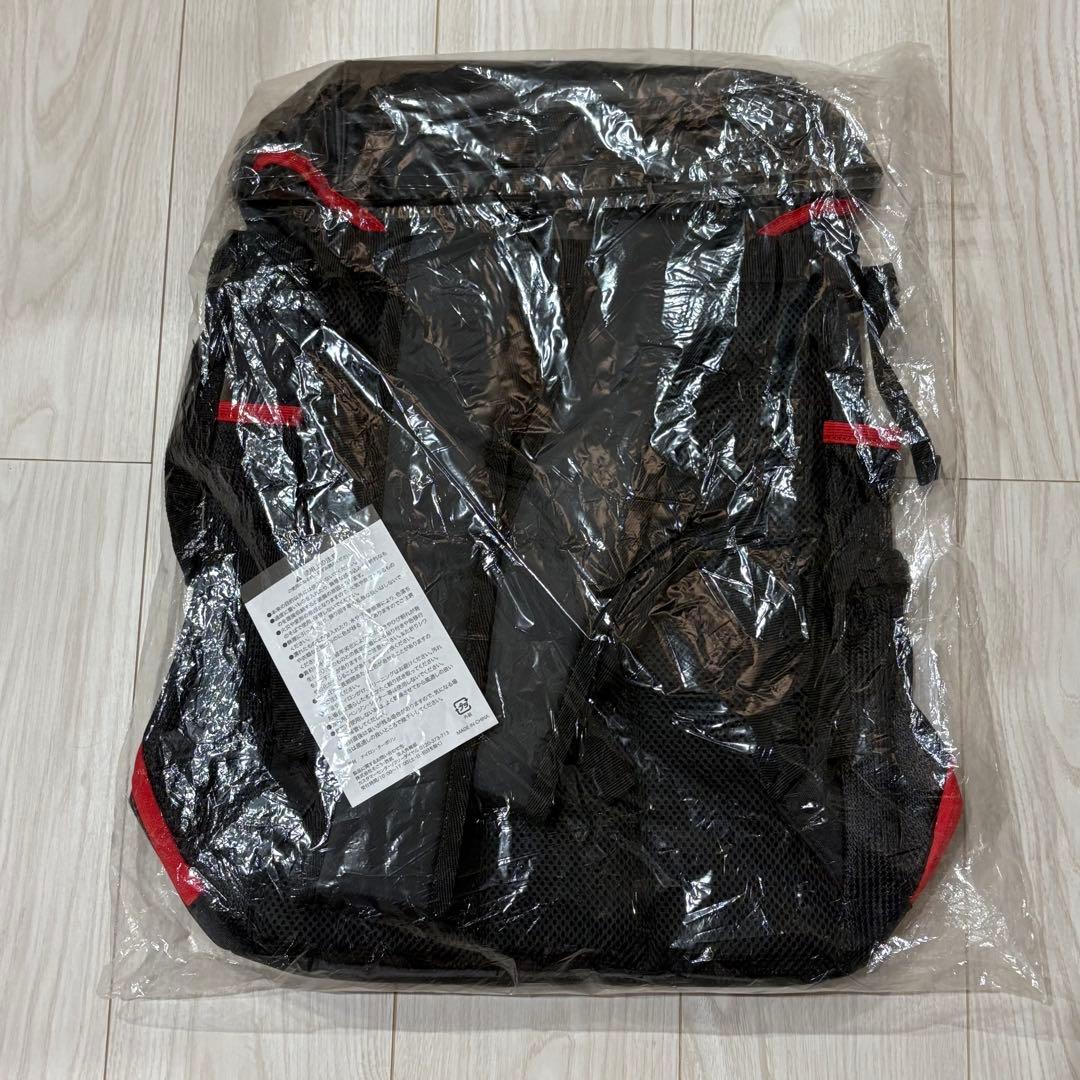 埼玉西武ライオンズ　ファンクラブ入会記念品リュック