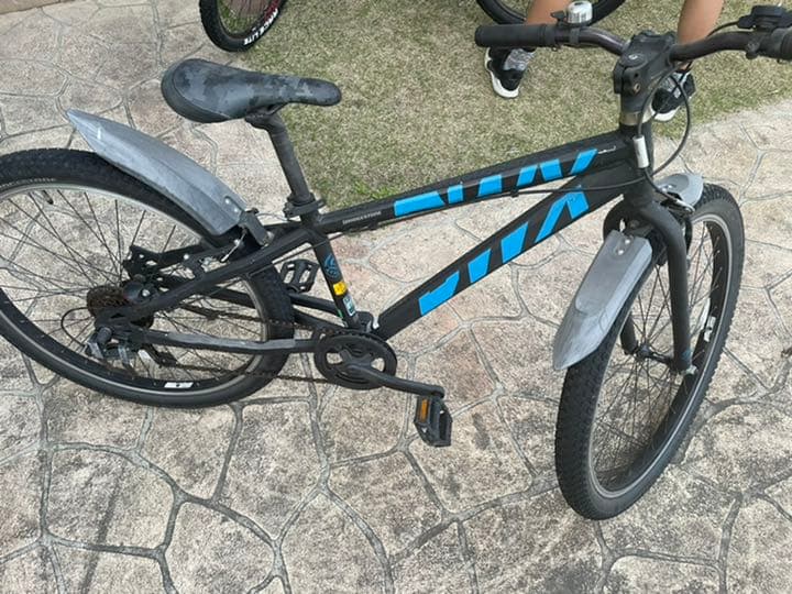 子供用自転車 ブリヂストン BWX STREET