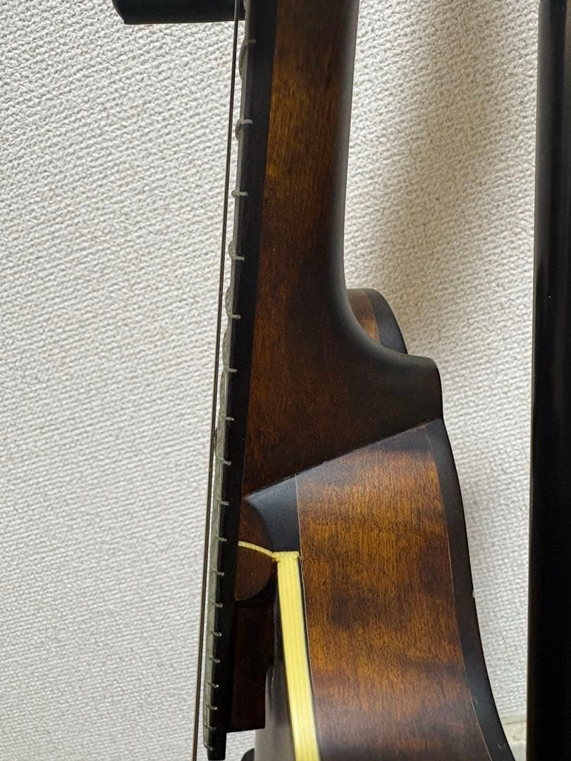Eastman マンドリン md-315 ケース　スタンド　レザーストラップ付き
