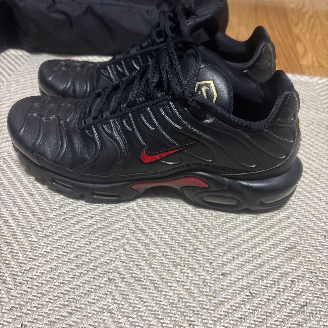 RYO着用エアマックスプラス 28.0 AIRMAX 限定 ゴールデンサイズ