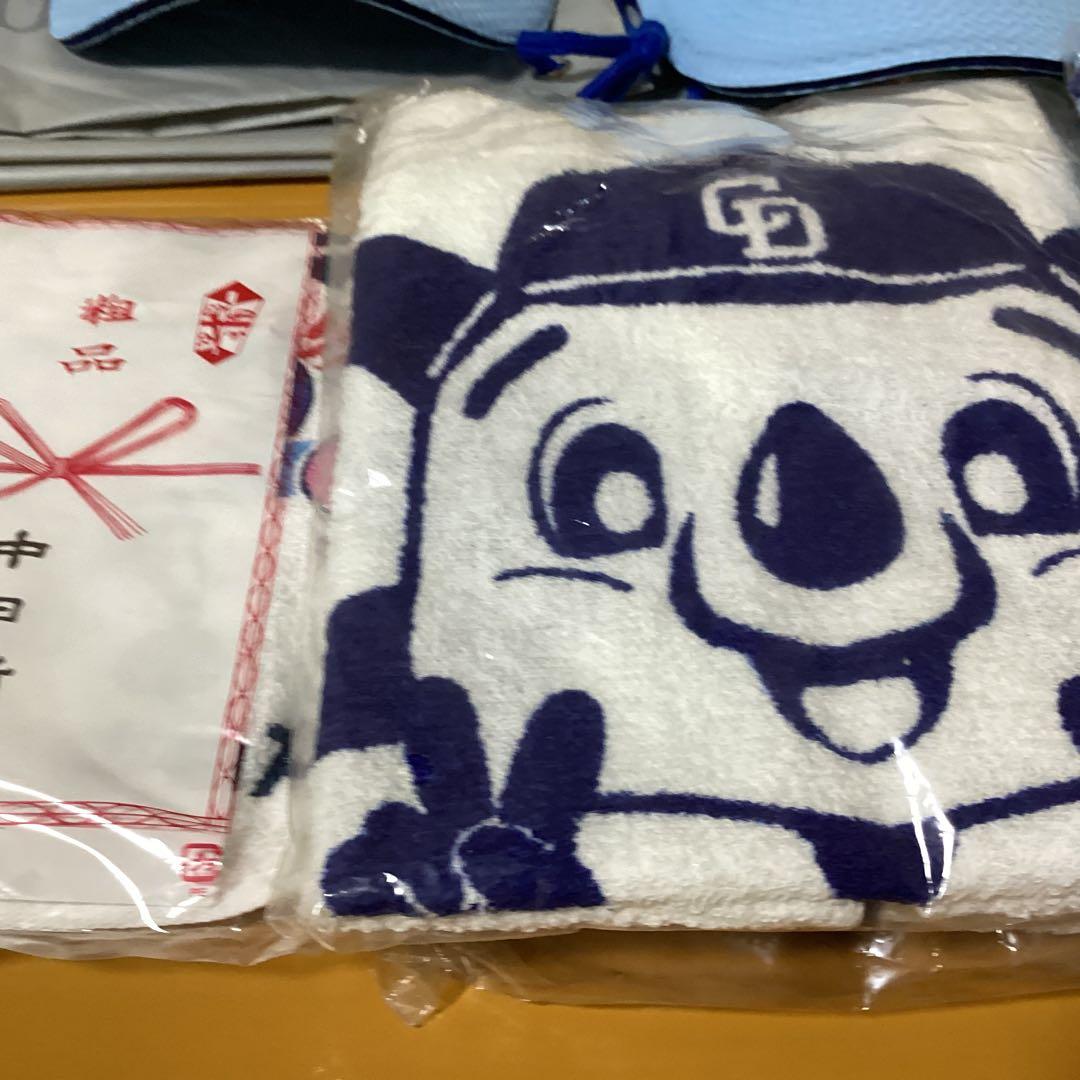 3030中日ドラゴンズ応援グッズタオル &バッグ &帽子