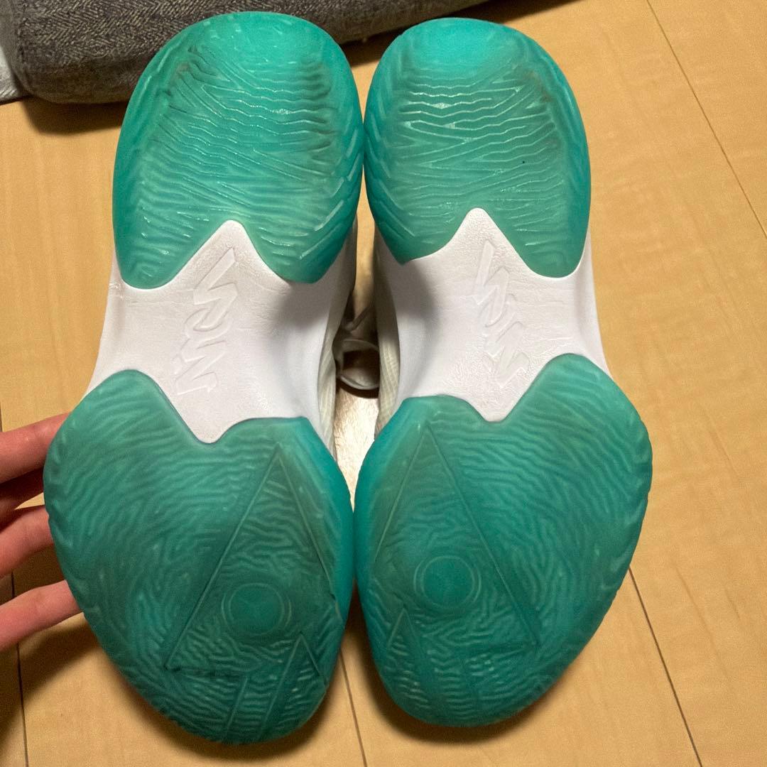 ザイオン1