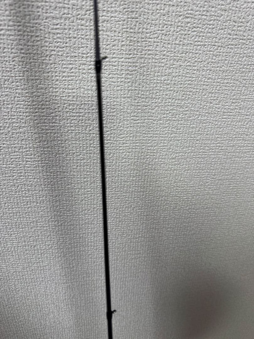 トーちゃん出品