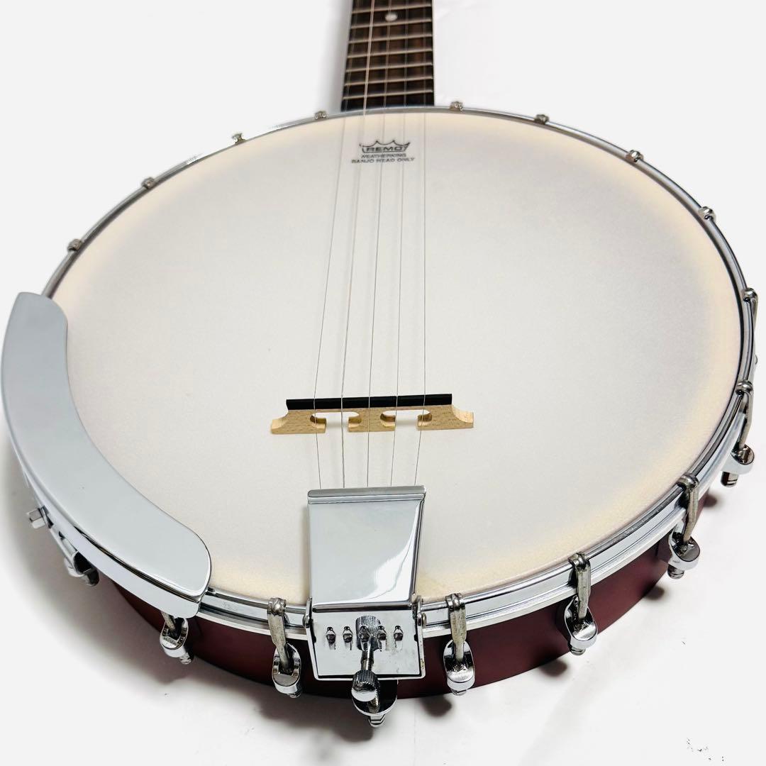 Epiphone MB-100 Banjo エピフォン バンジョー