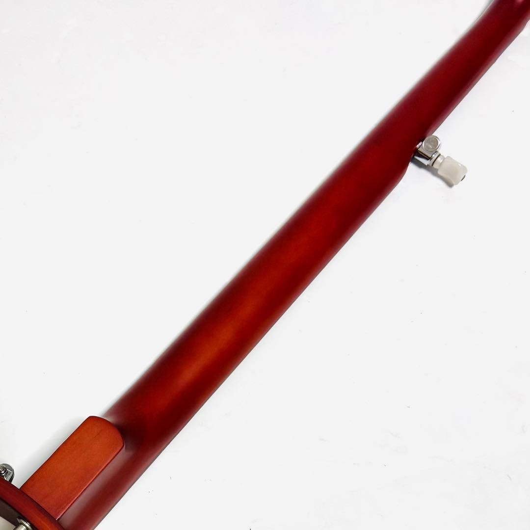Epiphone MB-100 Banjo エピフォン バンジョー