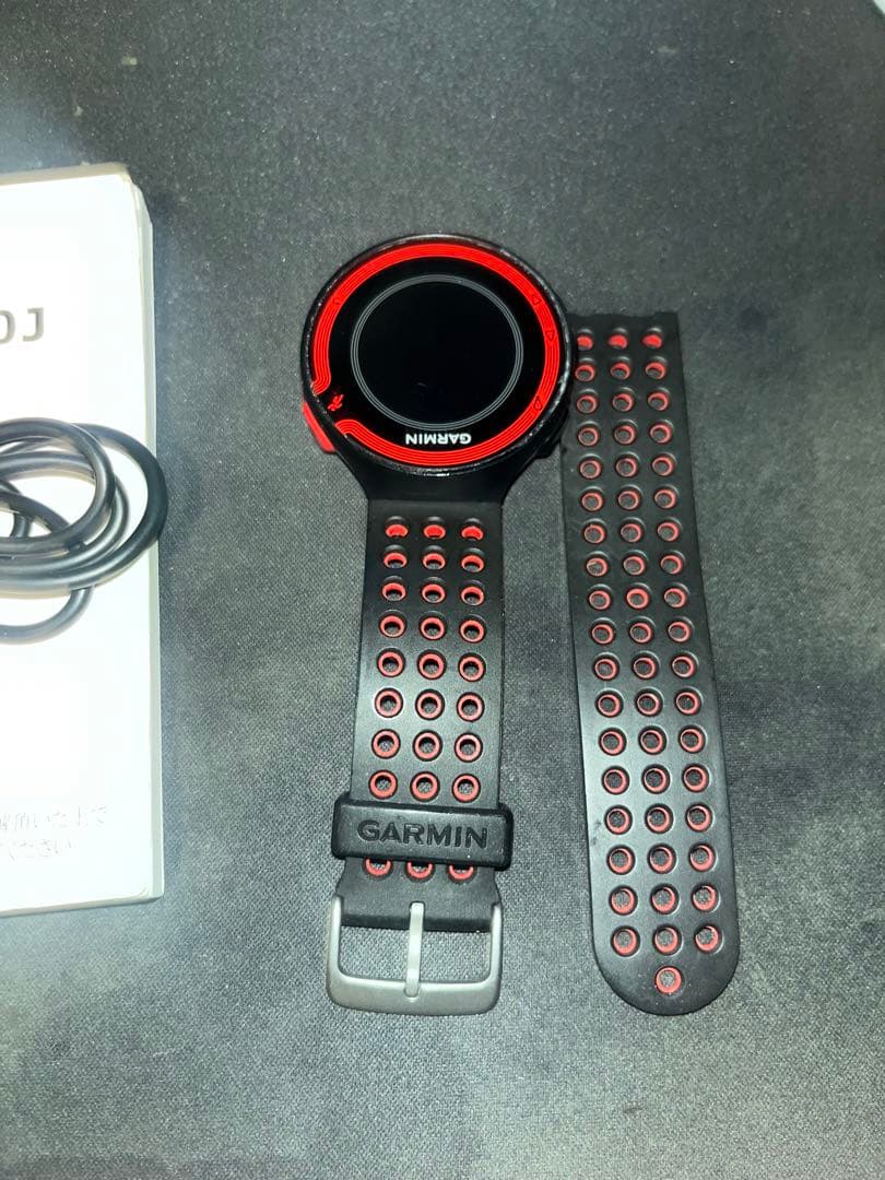 GARMINガーミン　フォアアスリート220J 14