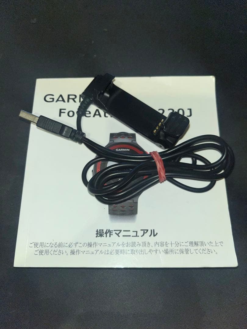 GARMINガーミン　フォアアスリート220J 14