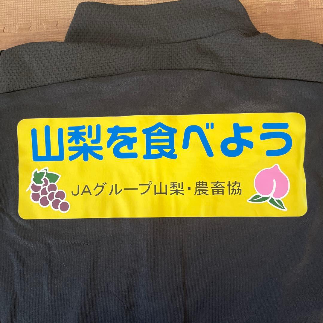 Mizuno ヴァンフォーレ甲府 ジャージ　Lサイズ