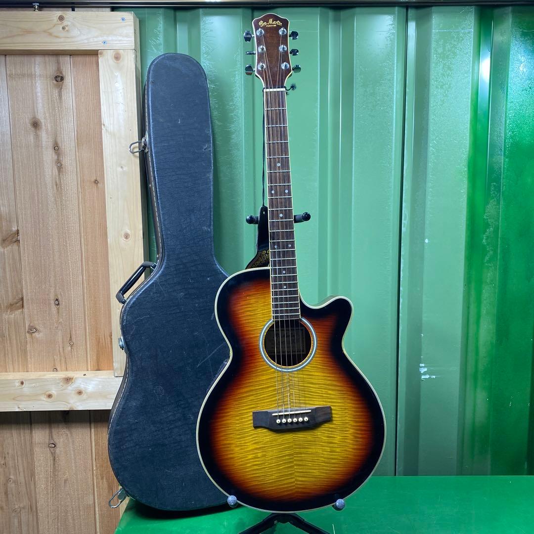 【現状品】Pro Martin EA500W VS アコースティックギター