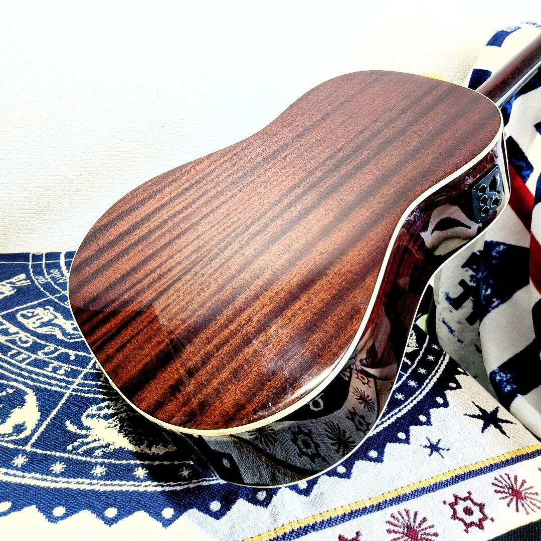 ギター Shirowani65