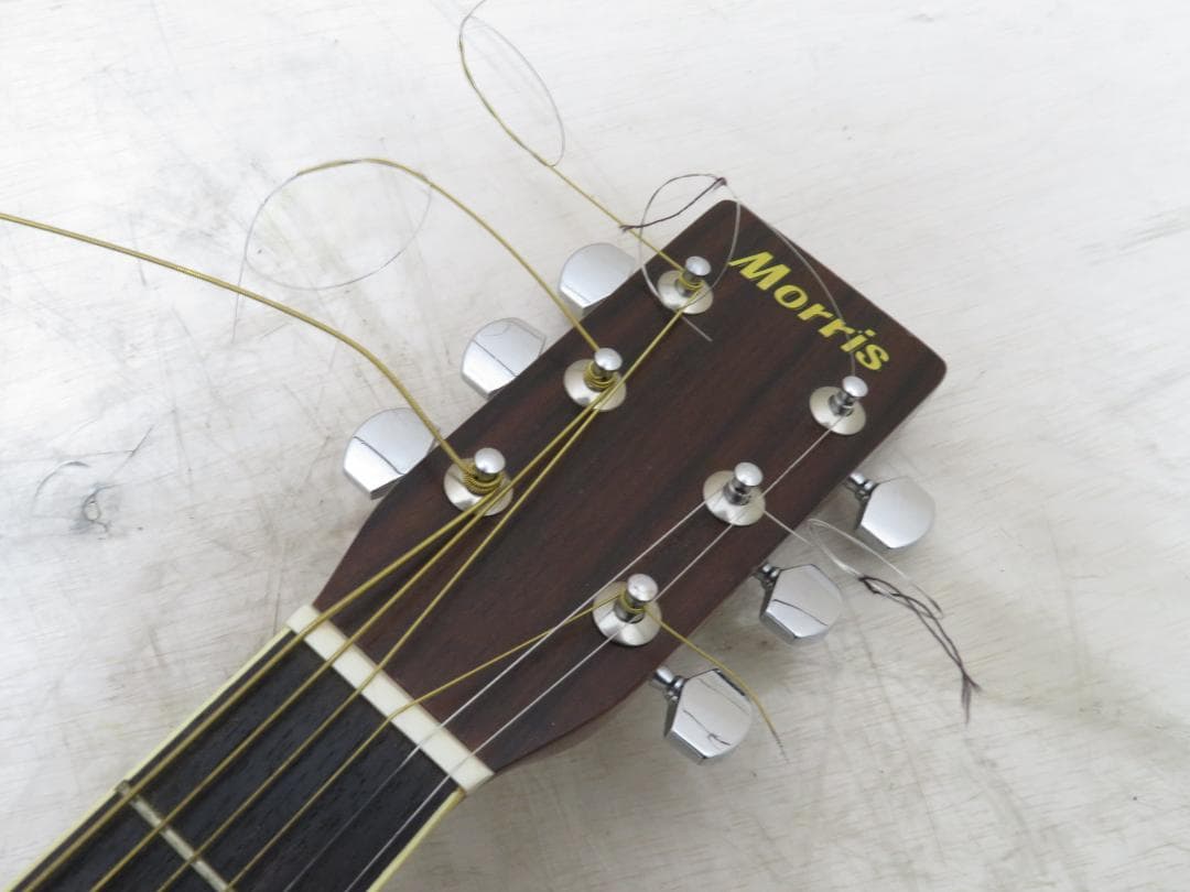 Morris モーリス アコースティックギター アコギ W-20