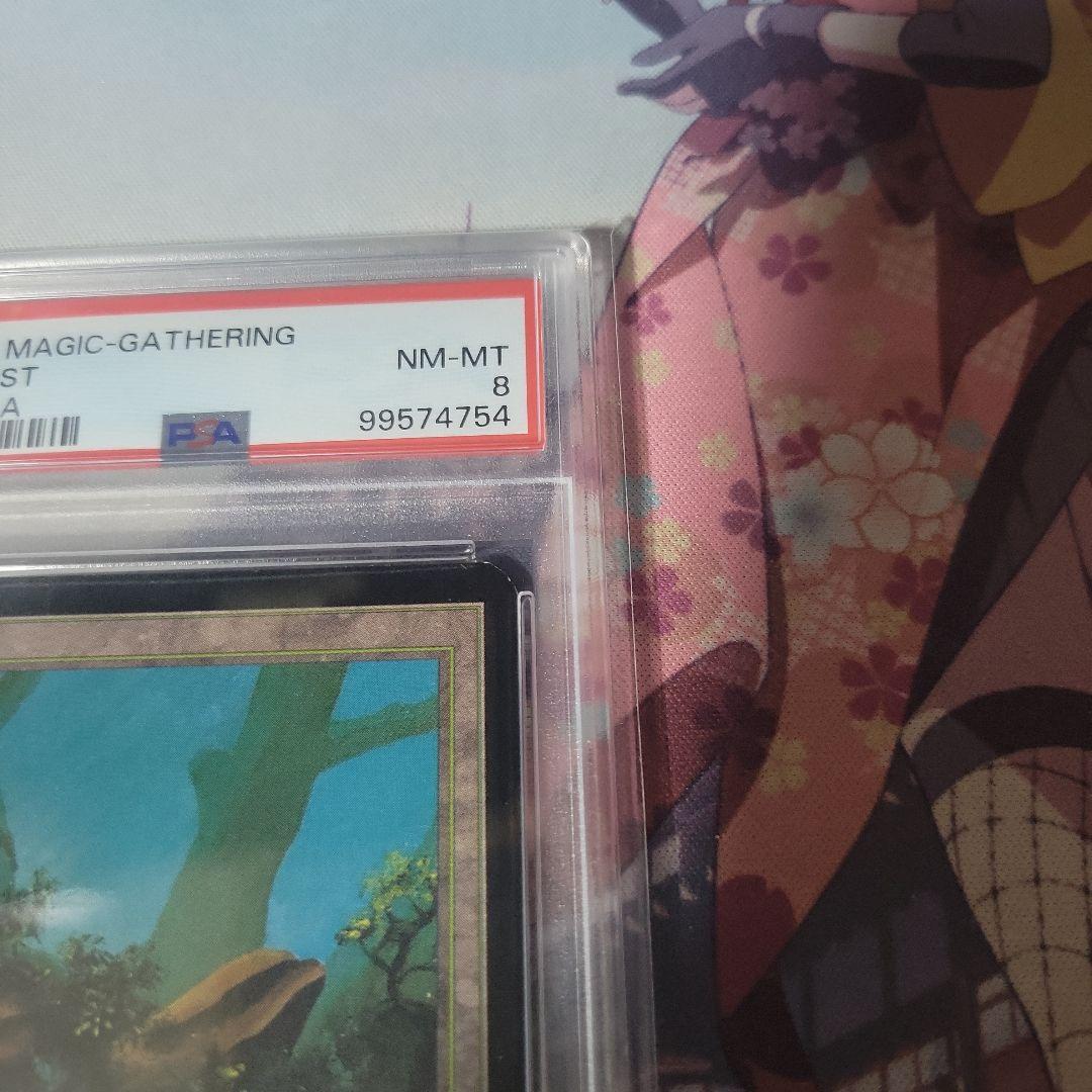 MTG 森 α PSA8