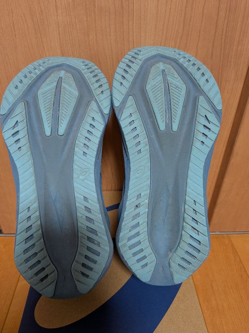 ASICS NOVABLAST 5 24.0cm 青