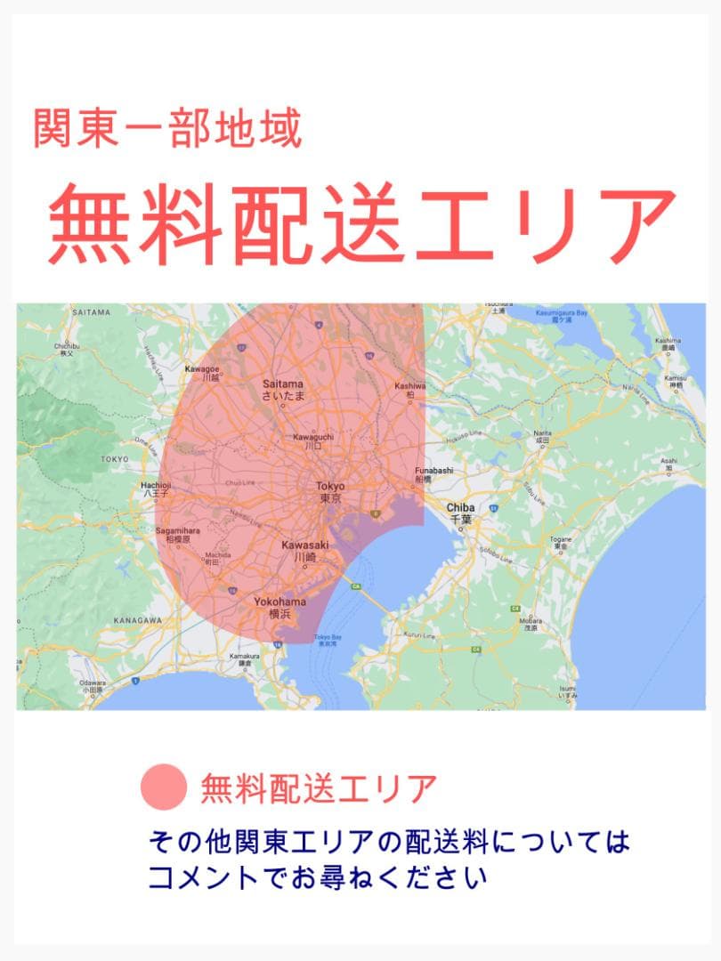 期間限定 最高峰バビー ヤマハ 子供乗せ電動アシスト自転車 ZH3211