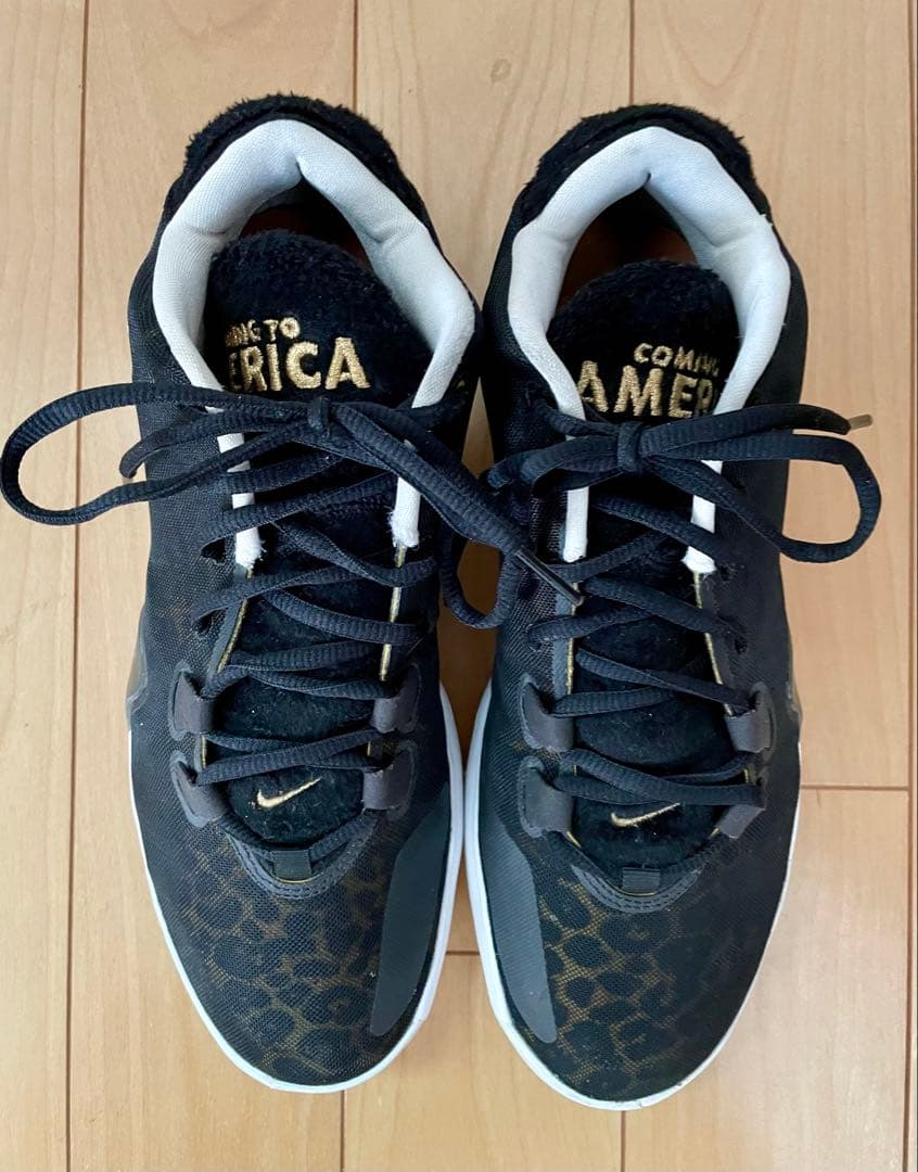 NIKE、ズームフリーク1、28センチ