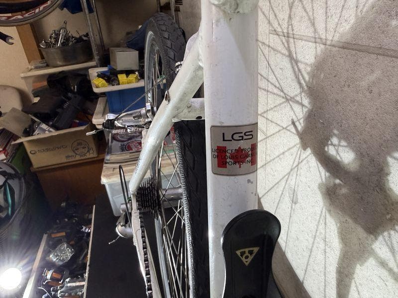 LOUISGARNEAU LGS CT NITTO キャリア付き ルイガノ