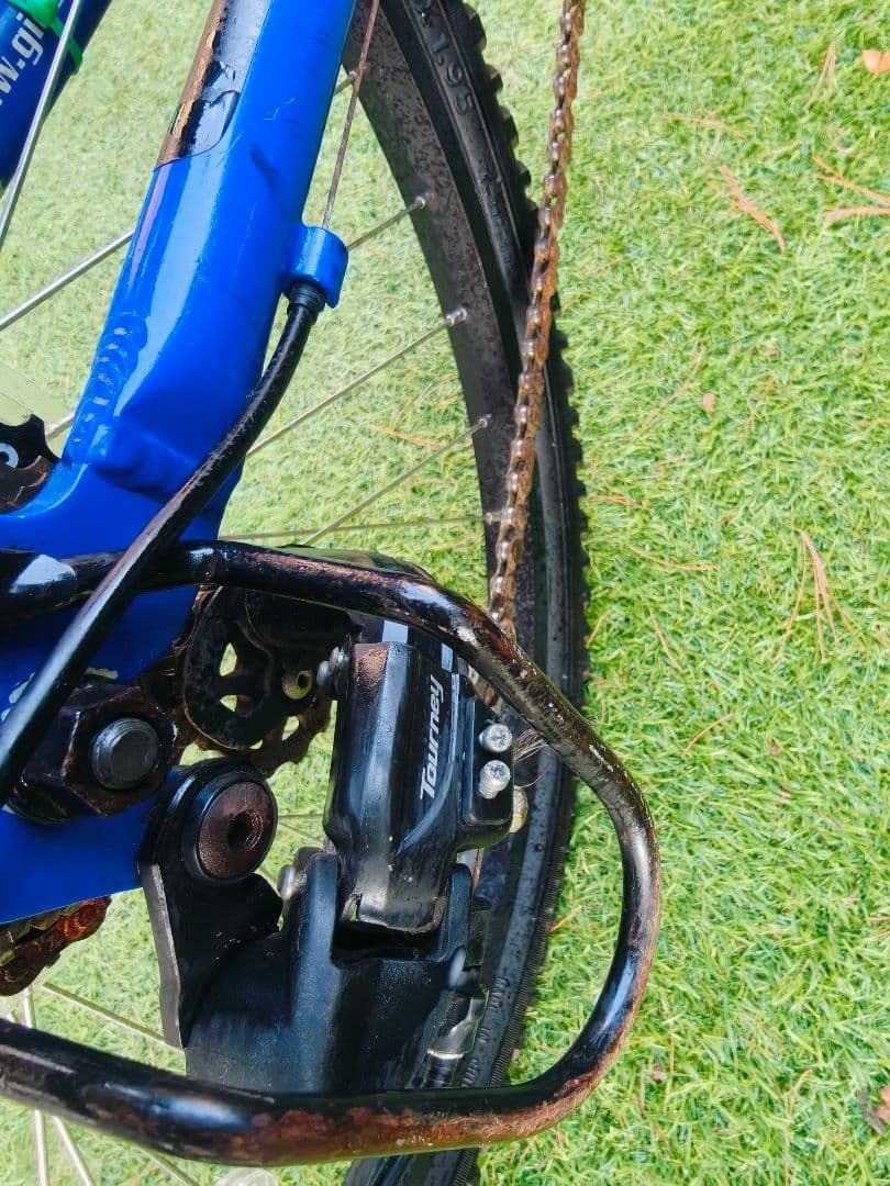 セ*ラ様 GIOS Genova 24 size ジュニア自転車 青