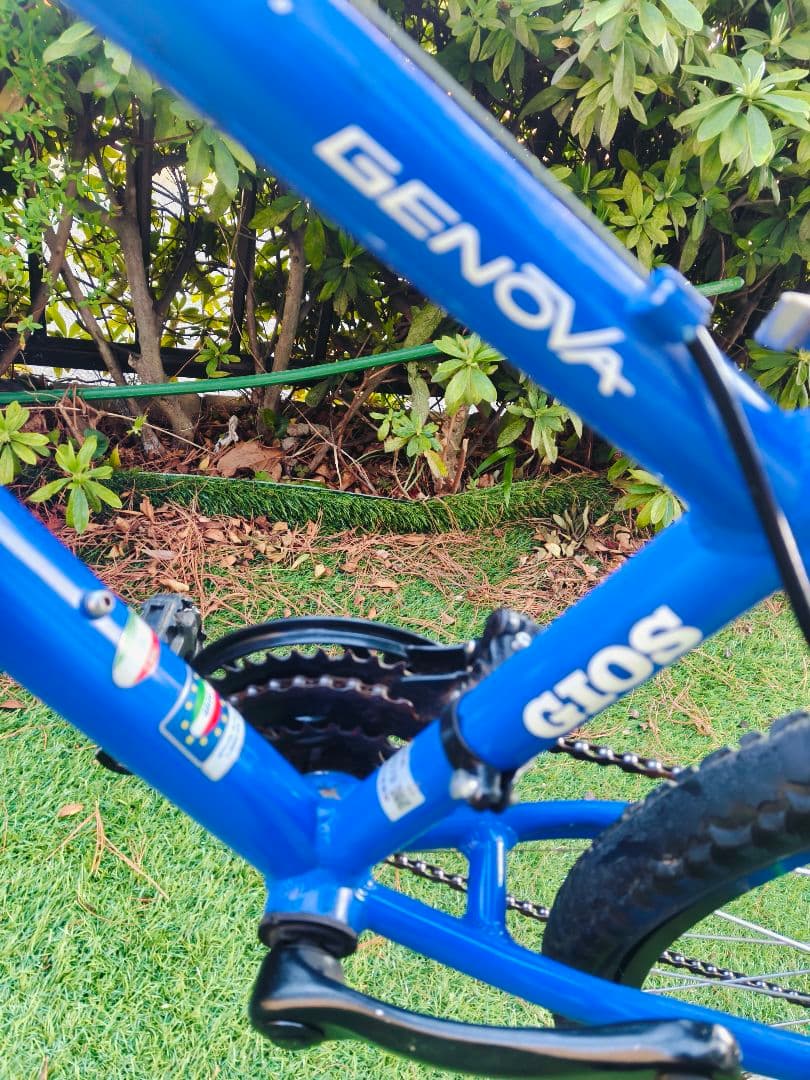 セ*ラ様 GIOS Genova 24 size ジュニア自転車 青