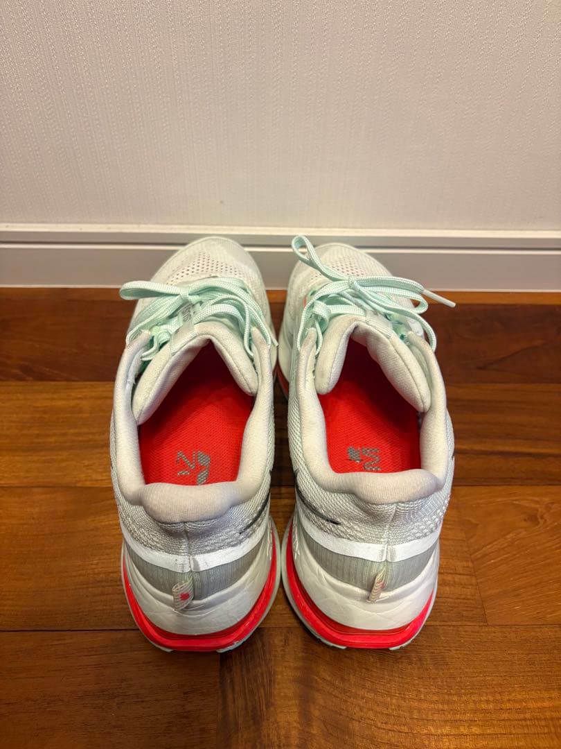 Nike ペガサスプレミアム28.0