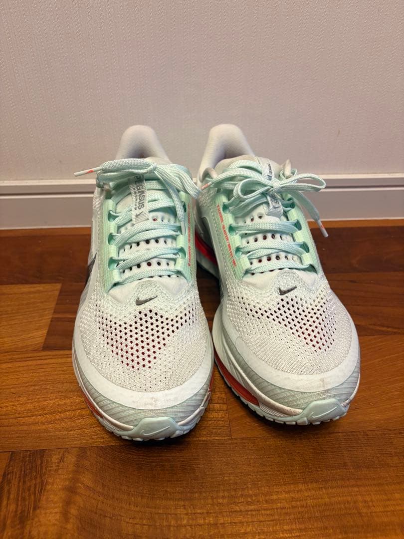 Nike ペガサスプレミアム28.0