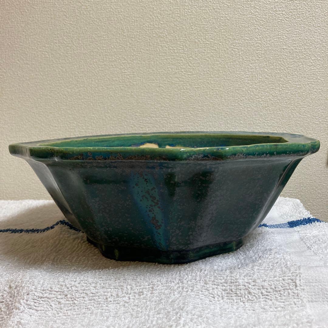 鴻陽輪花式鉢