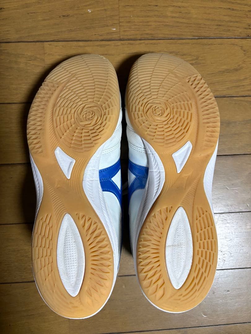 MIZUNO モレリアサラ ELITE IN 26センチ