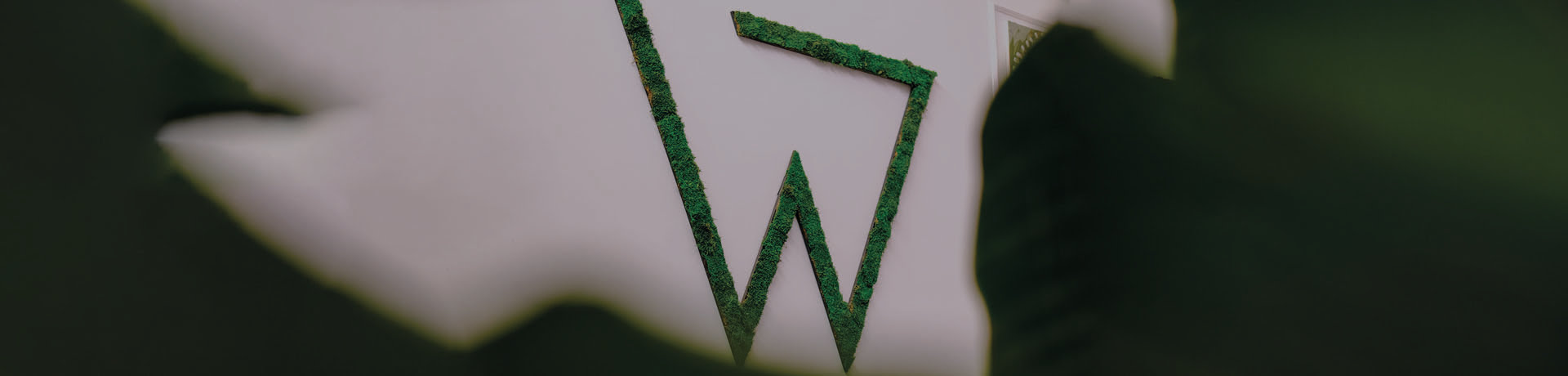 Discover W Clinics Health, your ultimate destination for comprehensive wellness solutions. Experience expert care and services dedicated to enhancing your health and well-being.